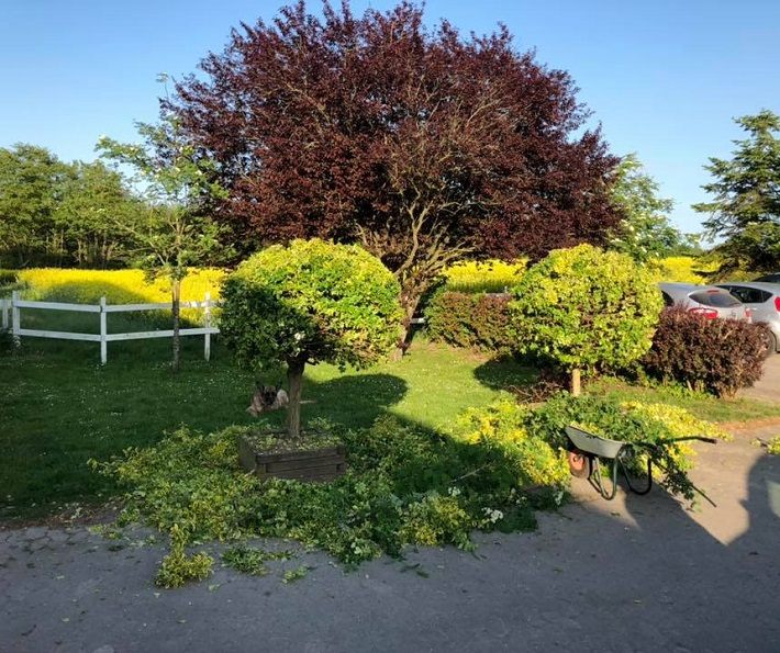 Jens Aages Park og Haveservice